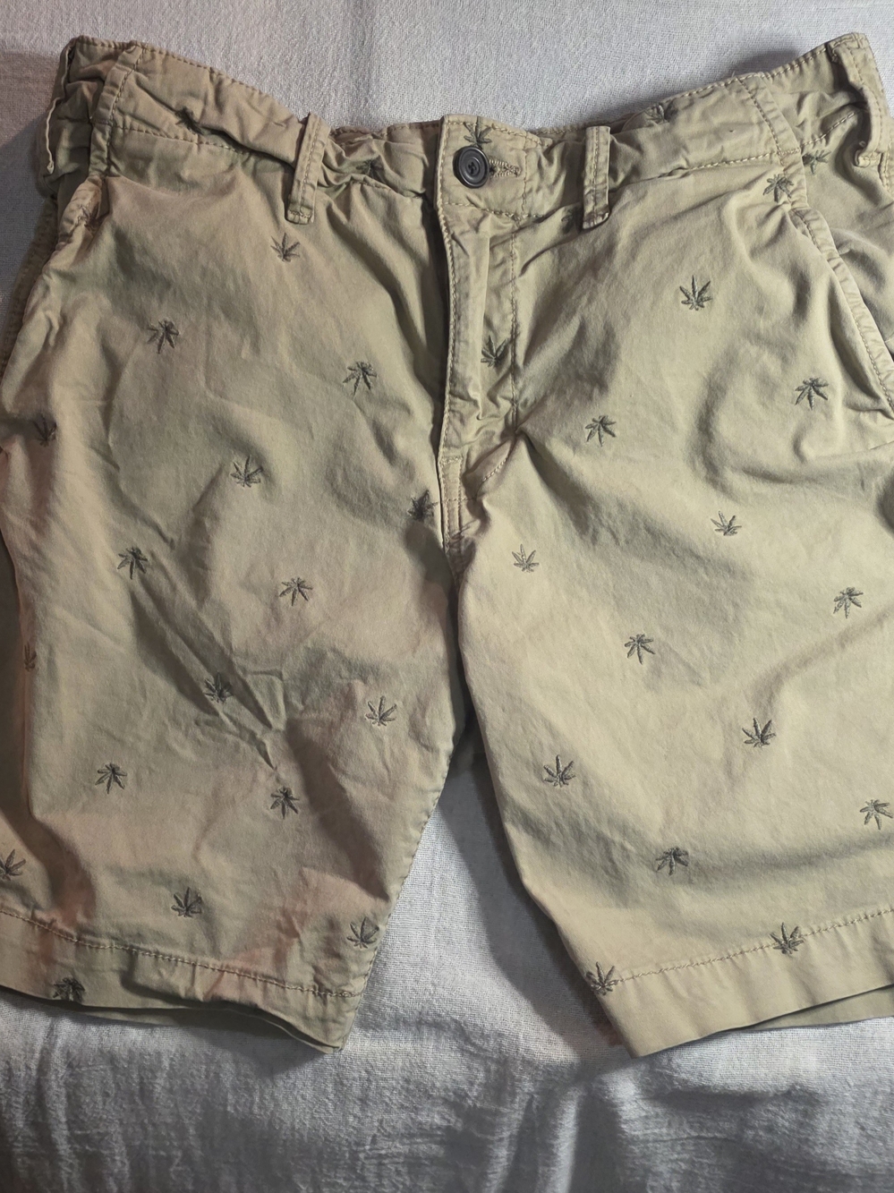 Lucky Brand Men's Shorts Size 30 Embroidered